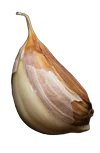 Knoblauch